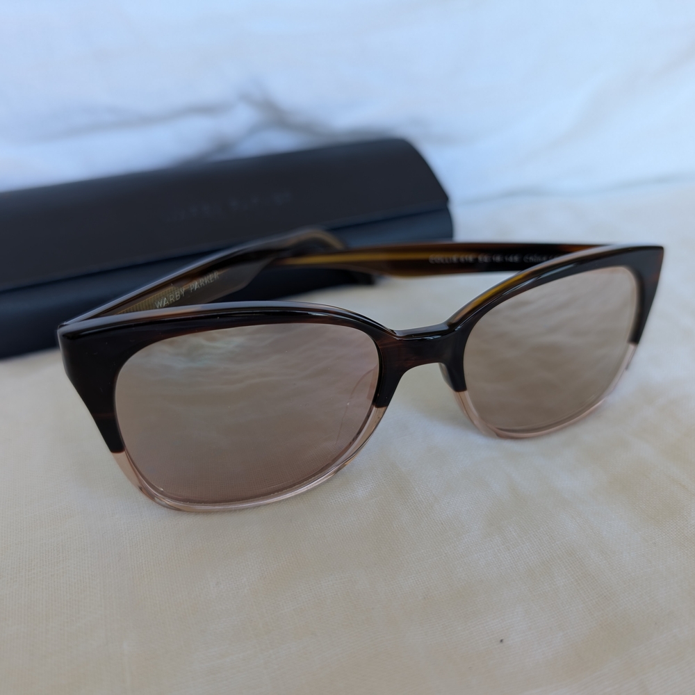 Chic Black and Brown Sunglasses